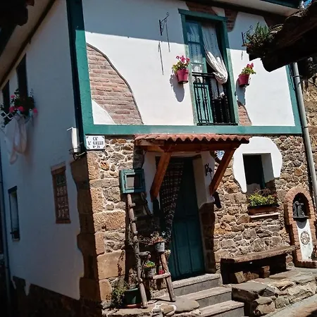 Ferienhaus Cal Gallo Riosa