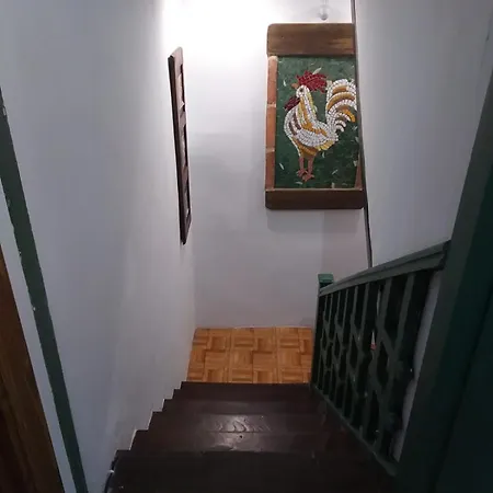 Ferienhaus Cal Gallo Riosa